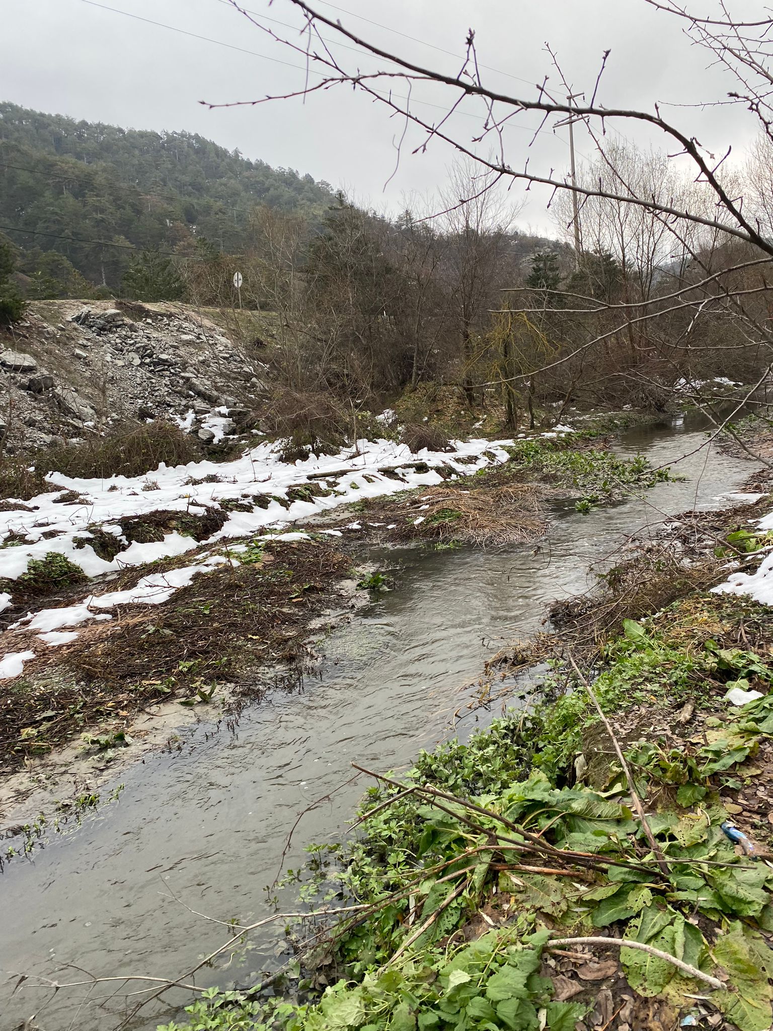 Fotoğraf
